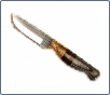 bird knives